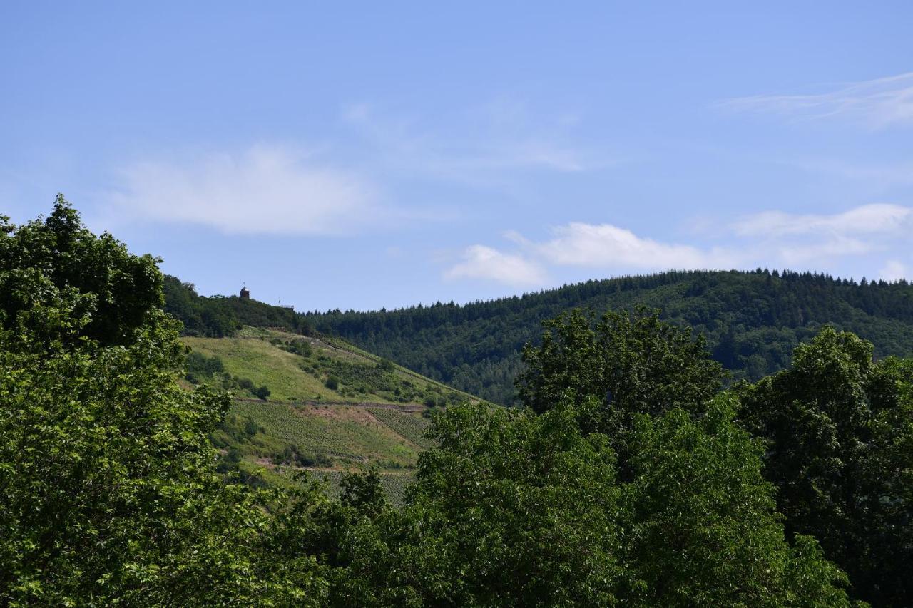 Schorn³ Appartements Zell an der Mosel Kültér fotó